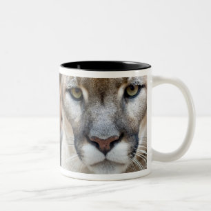 Florida Panther Two-Tone Coffee Mug