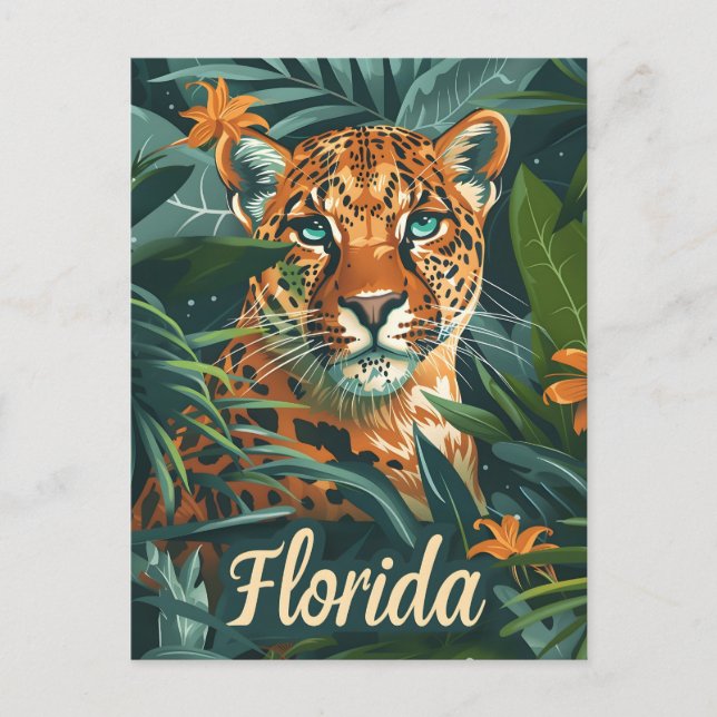 Florida Panther Vintage Postcard (Front)