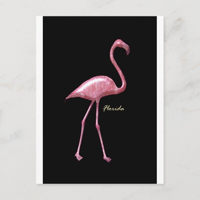 Florida Pink Flamingo Postcard (Front)