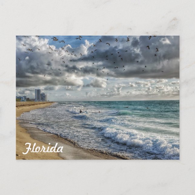 Florida Post Card South Florida Coastline (Front)