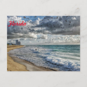 Florida Post Card South Florida Coastline
