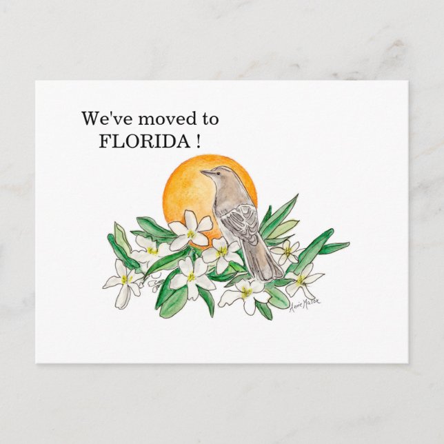 Florida Postcard (Front)