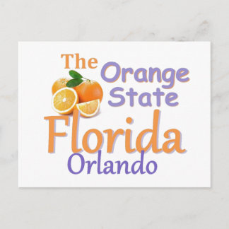 FLORIDA Postcard