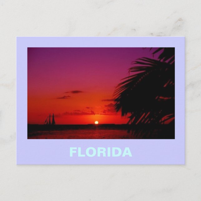FLORIDA POSTCARD (Front)