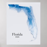 Florida Relief Map Bleu Texture