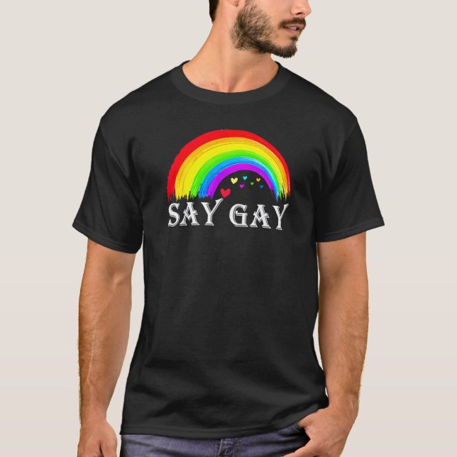 Florida Say Gay Everyday Protect Queer Protect Tra T-Shirt (Front)