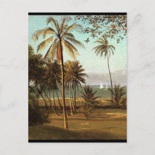 Florida Scene - Albert Bierstadt Postcard