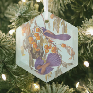 Florida Scrub Jay Audubon Bird Pair on Orange Tree Glass Ornament