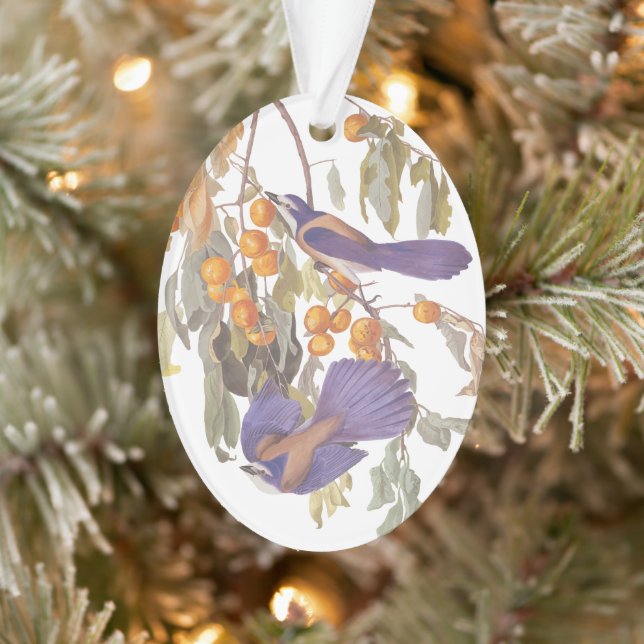 Florida Scrub Jay Audubon Bird Pair on Orange Tree Ornament (Tree)