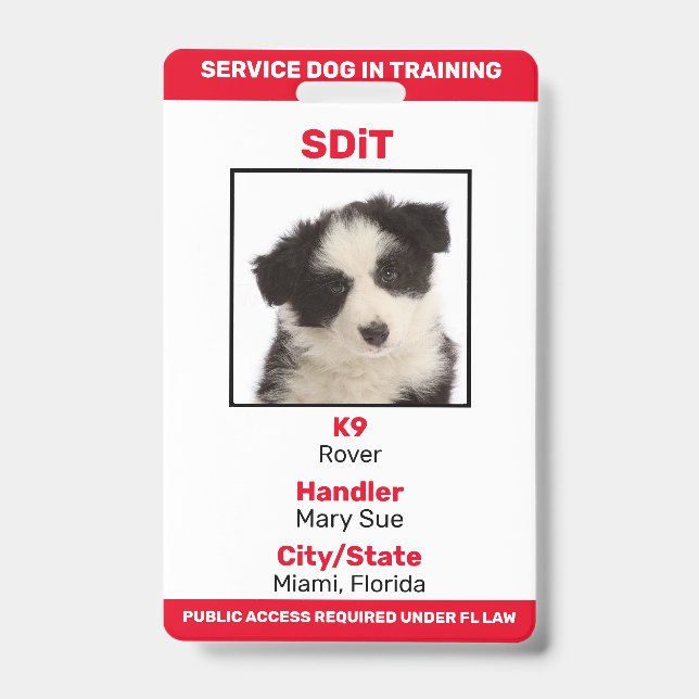 Florida SDiT (Service Dog In Training) info badge (Front)