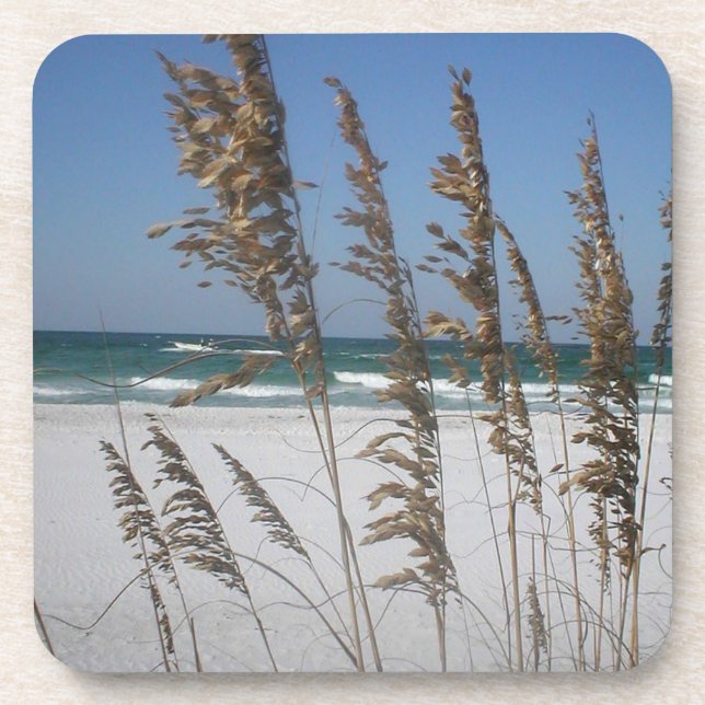 Florida Sea Oats Coasters (Front)