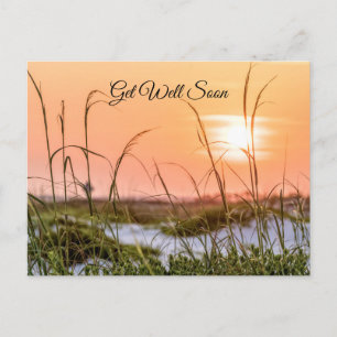 Florida Sea Oats Sunrise Get Well Soon Postcard