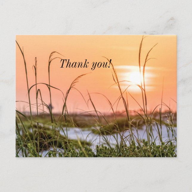 Florida Sea Oats Sunrise Thank you Postcard (Front)