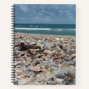 Florida Seashell Atlantic Ocean Beach Nature Photo Notebook