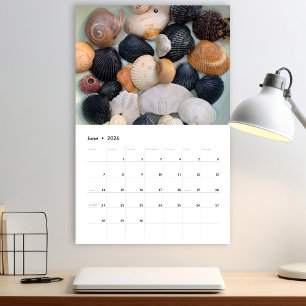 Florida Seashell Photography Calendar Volume 2