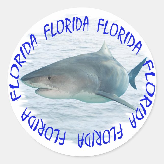 Florida shark classic round sticker (Front)