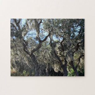 Florida Spanish Moss Jigsaw Puzzle