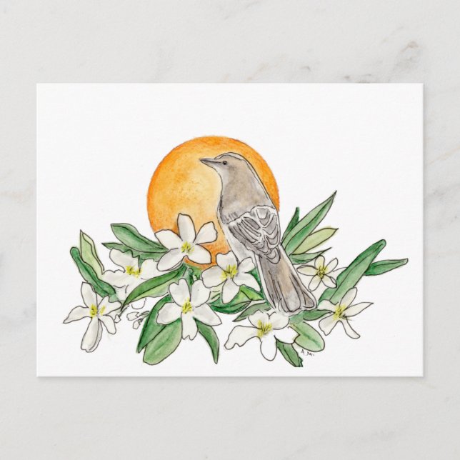 Florida State Bird and Flower Postcard (Front)