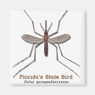Florida State Bird Magnet