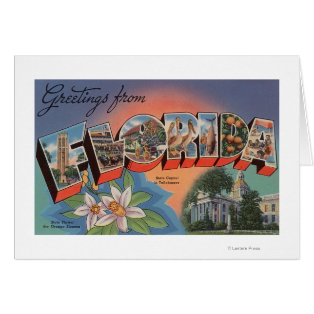 Florida (State Capital Scene) (Front Horizontal)
