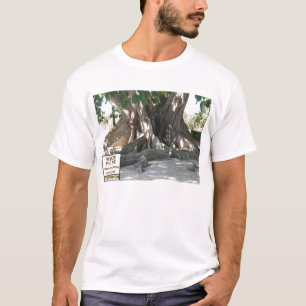 Florida State Champion Mysore Fig Tree With Sign T-Shirt