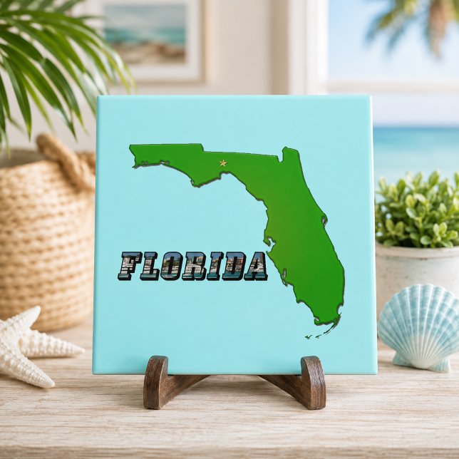 Florida State Map and Text Tile (Florida State Map and Text Ceramic Tile)