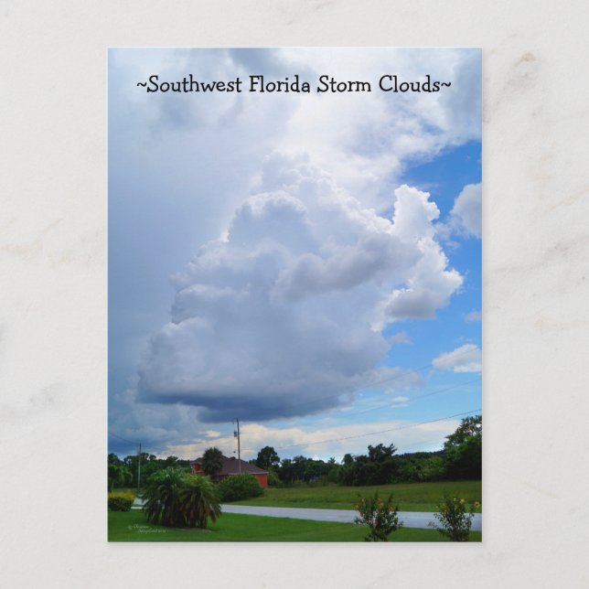 Florida storm clouds Cape Coral Postcard (Front)