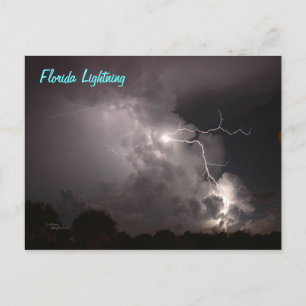 Florida Storm Lightning Postcard