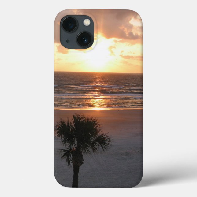 Florida sunrise iPad Air Case (Back)