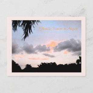 Florida Sunset in August Postcard