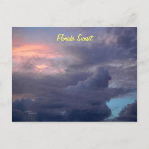 Florida sunset Postcard
