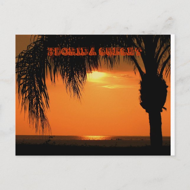 FLORIDA SUNSET POSTCARD (Front)