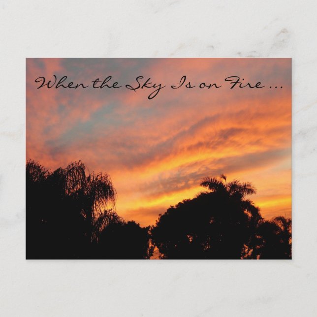 Florida Sunset Postcard / When the Sky Is on Fire (Front)