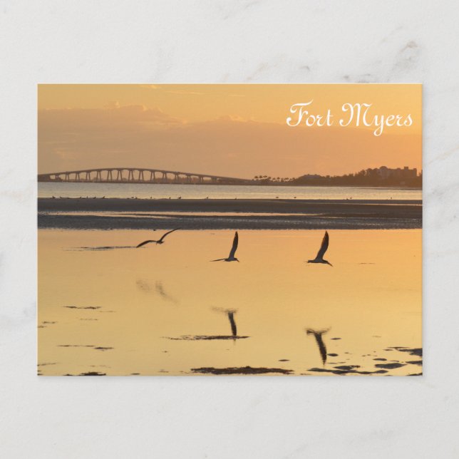 Florida Sunset Reflection Postcard (Front)