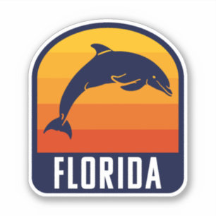 Florida sunset with Dolphin - Florida Travel
