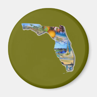 FLORIDA - THE SUNSHINE STATE MAGNET