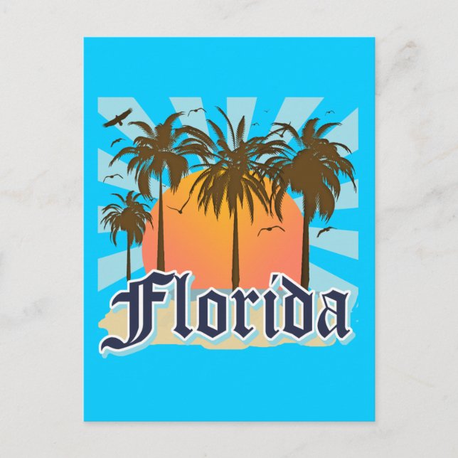 Florida The Sunshine State USA Postcard (Front)