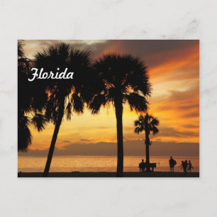 Florida Vacation Postcard
