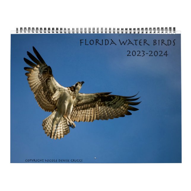 Florida Water Birds Calendar 2023-2024 (Cover)