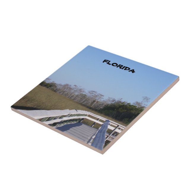Florida Wetland Boardwalk Morning View Tile (Side)