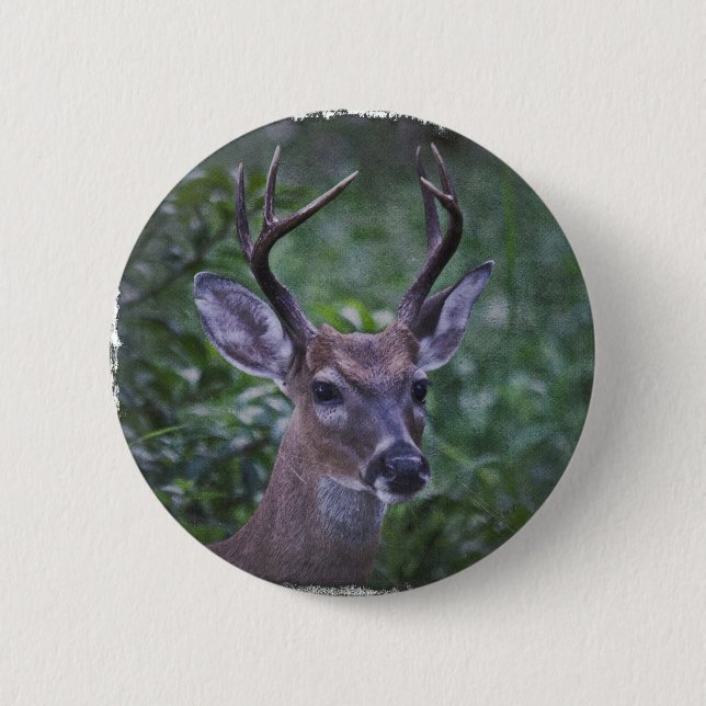 Florida Whitetailed Buck 2 Inch Round Button (Front)