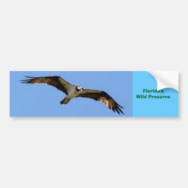 Florida Wildlife Bumper Sticker (Front)