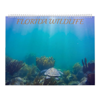 Florida Wildlife Calendar 2020
