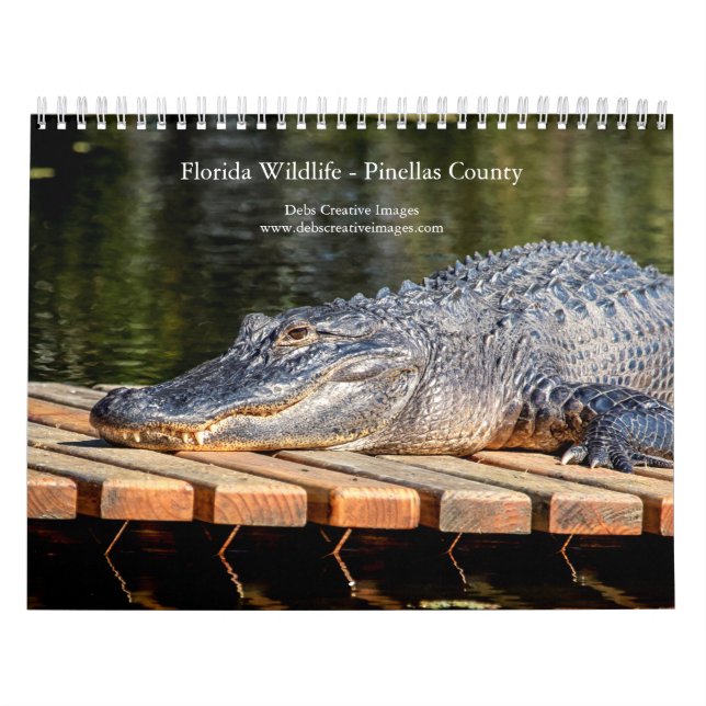 Florida Wildlife in Pinellas County 2026 Calendar (Cover)