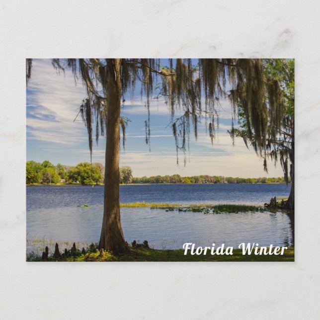 Florida Winter Postcard (Front)