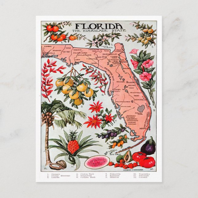 Floride - Carte de l'État des Everglade (Devant)