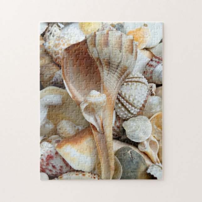 Floride Lightning Whelk Seashells Puzzle (Vertical)