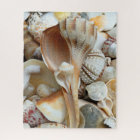 Floride Lightning Whelk Seashells Puzzle