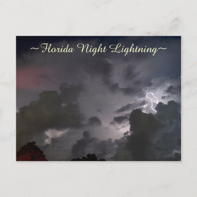 Floride nuages d'éclair nuit Carte postale (Devant)