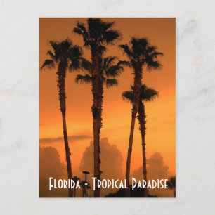 Floride Tropical Paradise Sunset Carte postale Pho